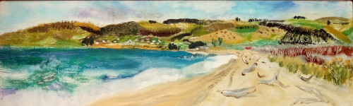 Landscape painting titled Kaka Point